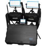 Dracast Daylight Wedding Kit with 1 x LED160AD and 2 x LED500D Pro Lights with VMount Battery Plates